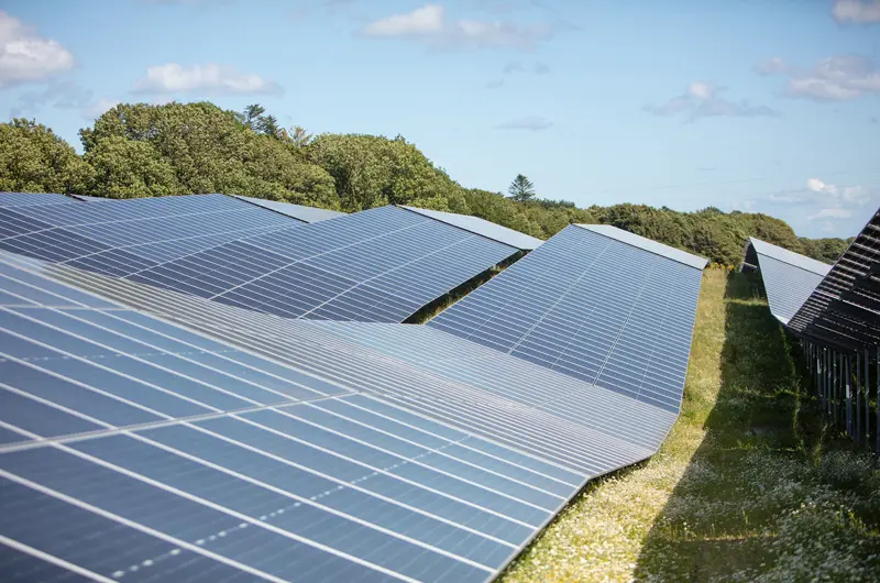 Solceller i Frederikshavn som bølger henover en mark.
