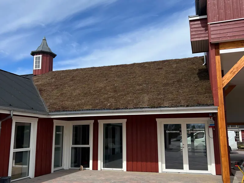 Facadedør og topstyret vindue i farven hvid - reference Fårup sommerland