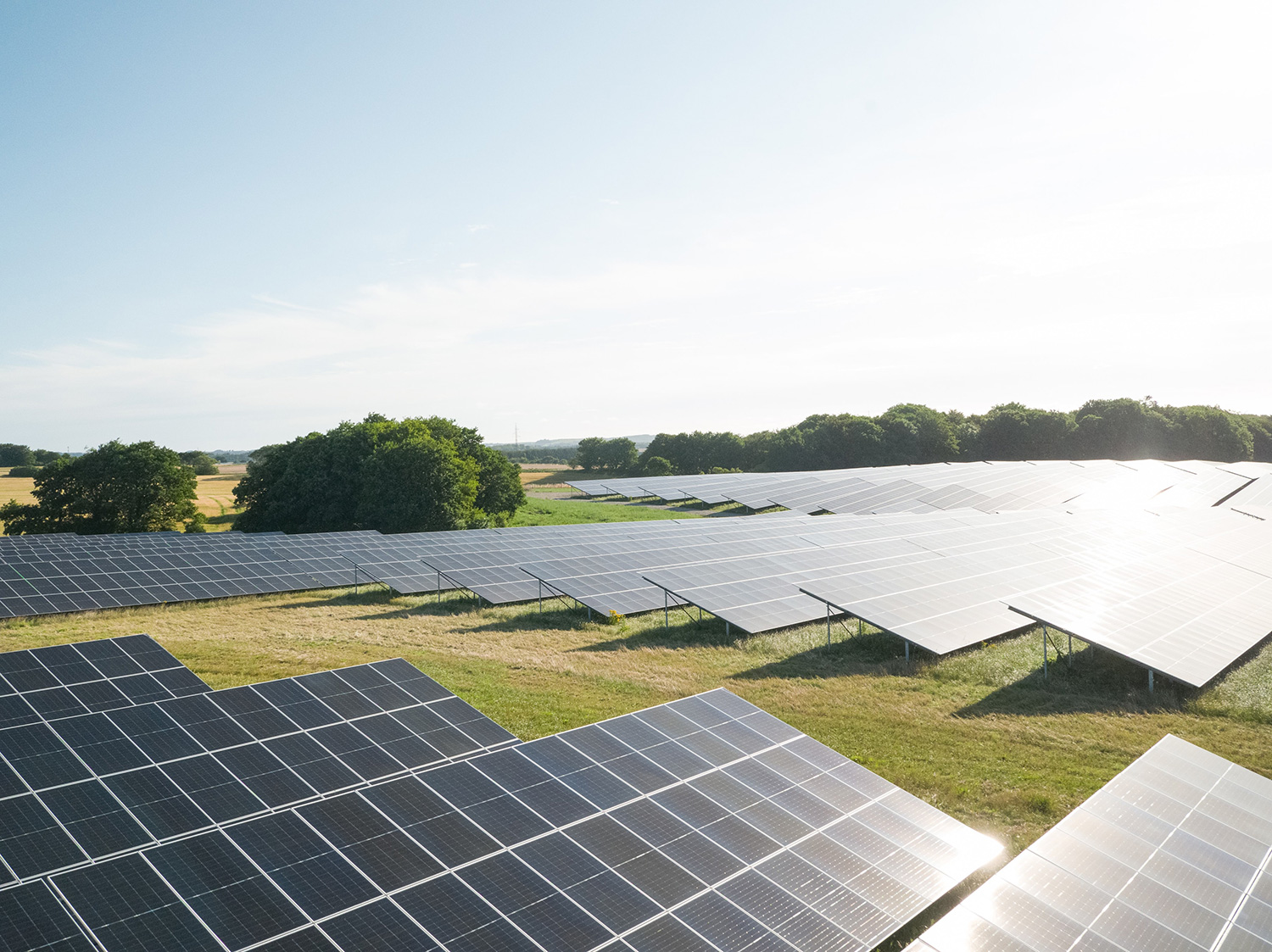 Mange solceller på en eng med træer i baggrunden.