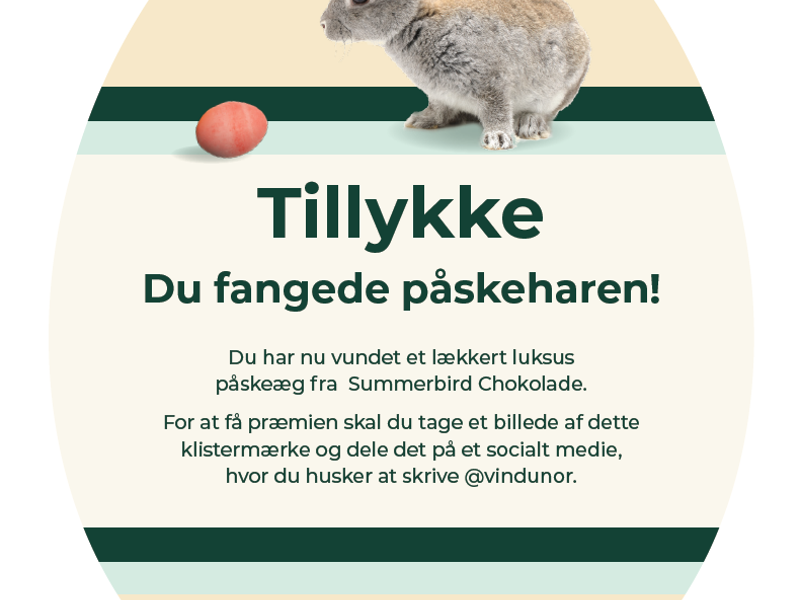 Billede af et Påskeæg med en konkurrencebeskrivelse på.